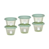 Koko Aufbewahrungsdosen-Set - Miffy - 120 ml - 6 Stück - Green