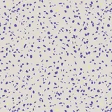 Bibelotte Terrazzo Tapete – Kobalt