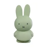 Atelier Pierre Miffy Spardose Eucalyptus