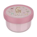 Mepal X Little Dutch Fruitbox Campus - Fairy Garden - 300 ml
