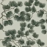 Sandberg Pine Tapete - Green