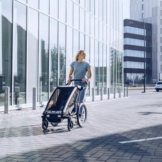 Thule Chariot Lite 1 Fahrradanhänger Agave