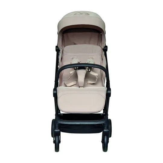Koelstra Re-act Buggy