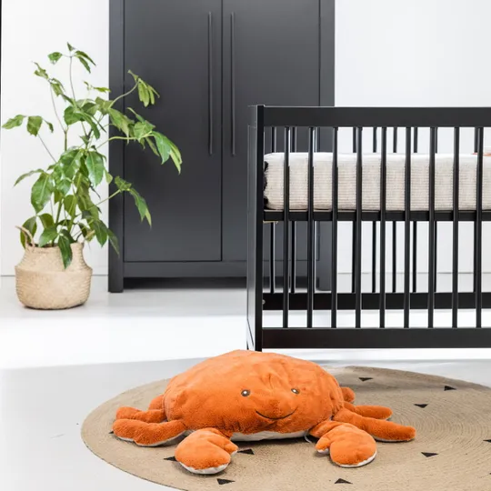Europe Baby Vittoria III Kleiderschrank 2-türig Schwarz