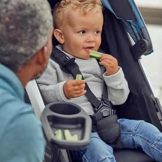 Thule Spring Snackablage