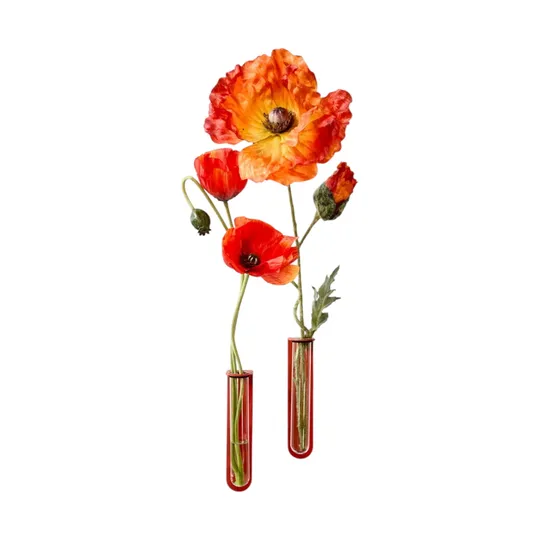 Groovy Magnets Magnetische Blumenvase - Mohnrot