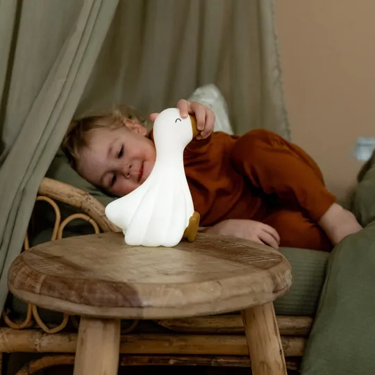 Little Dutch Little Goose Nachtlicht