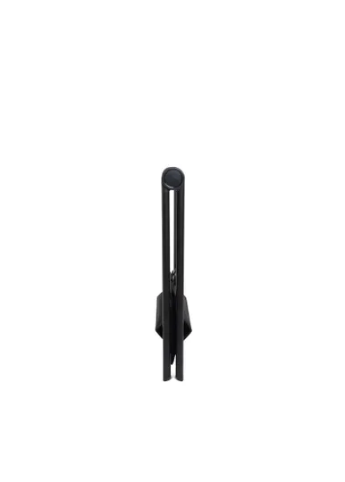 iCandy MiStand
