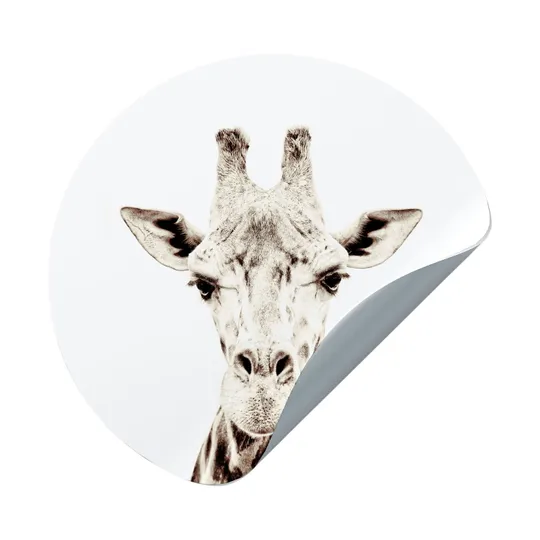 Groovy Magnets Giraffe Magnetaufkleber – Ø60 cm