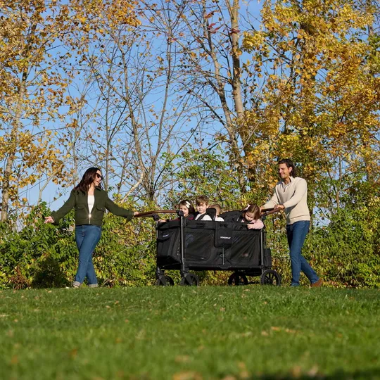 WonderFold W2 Luxe Pro Bollerwagen - Schwarz