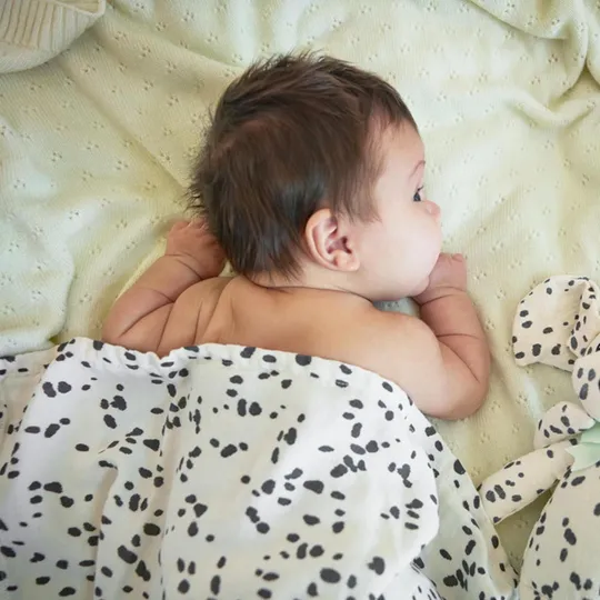 Elodie Details Hundekuscheltier - Dalmatian Dots