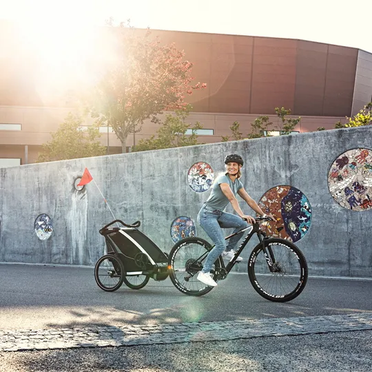 Thule Chariot Lite 1 Fahrradanhänger Agave