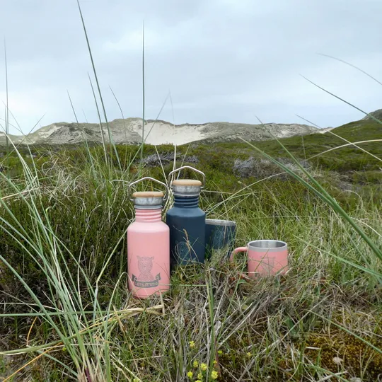 Lässig Adventure Fles Isolierte Edelstahl Rose