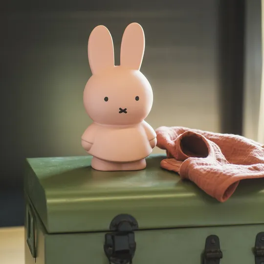 Atelier Pierre Miffy Spardose Powder