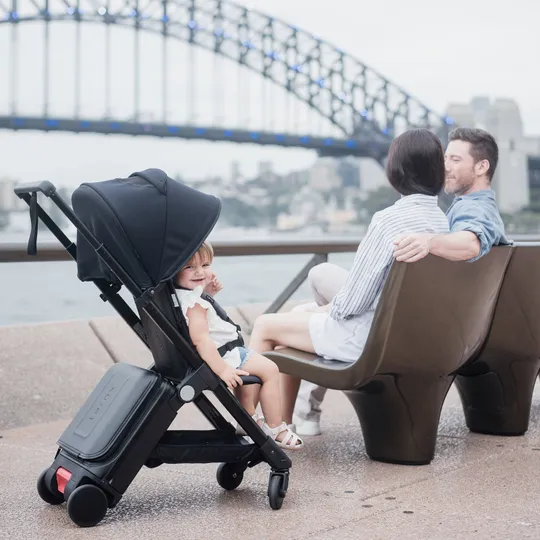 TernX Carry On Buggy