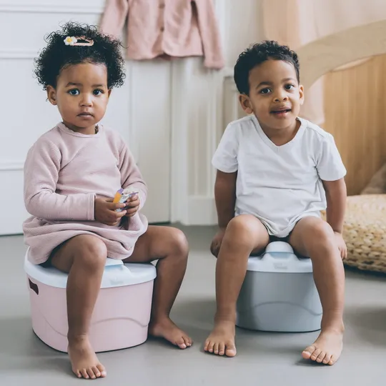 DiaperChamp 3-in-1 Potty - Silver