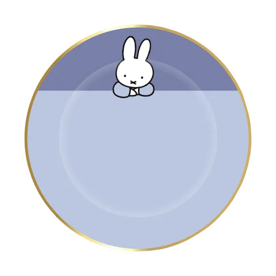 Ootje Kadootje Teller Miffy Junge Gold 8er - Set