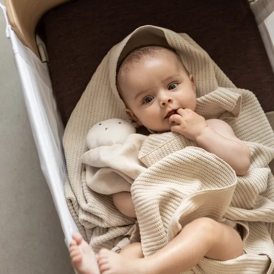Bednest Co-Sleeper - Natur
