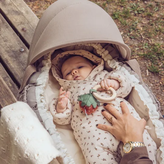 Sebra Kap Voor 3-in-1 Babynest