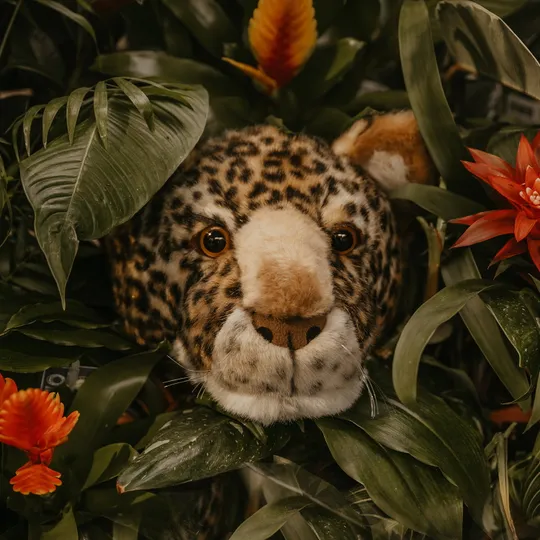Wild & Soft Leopard Charlie Tierkopf