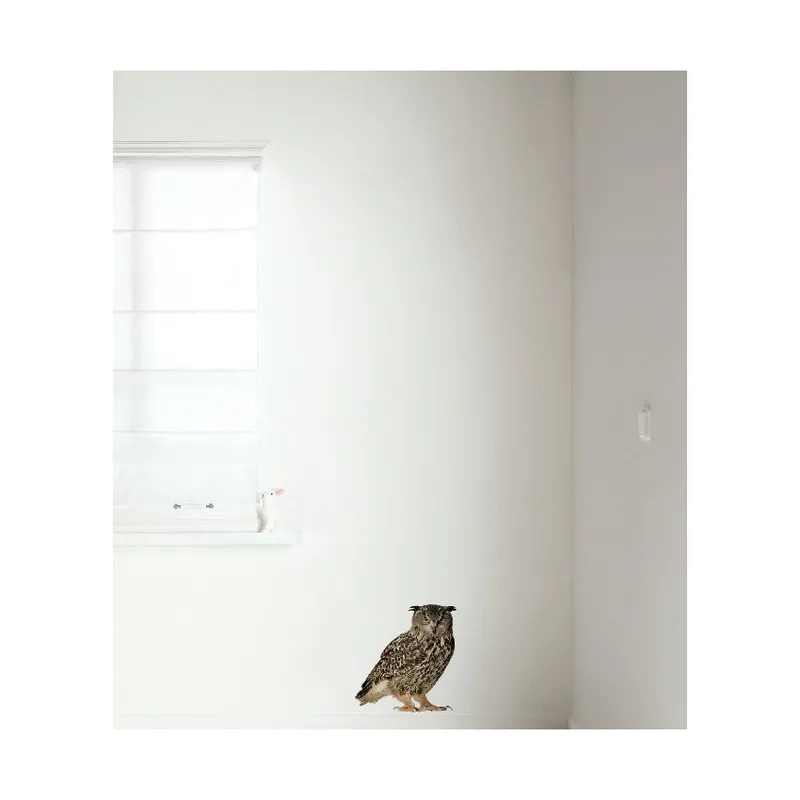 KEK AMSTERDAM Forest Friends Wandsticker Owl