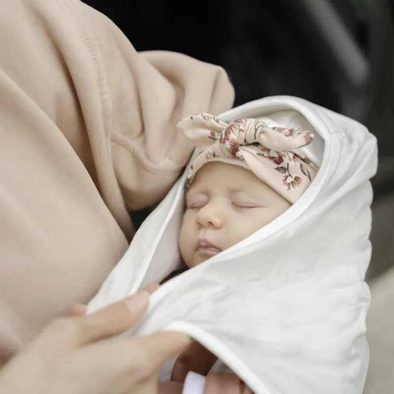 BeSafe iZi Transfer Tragesystem Light Grey