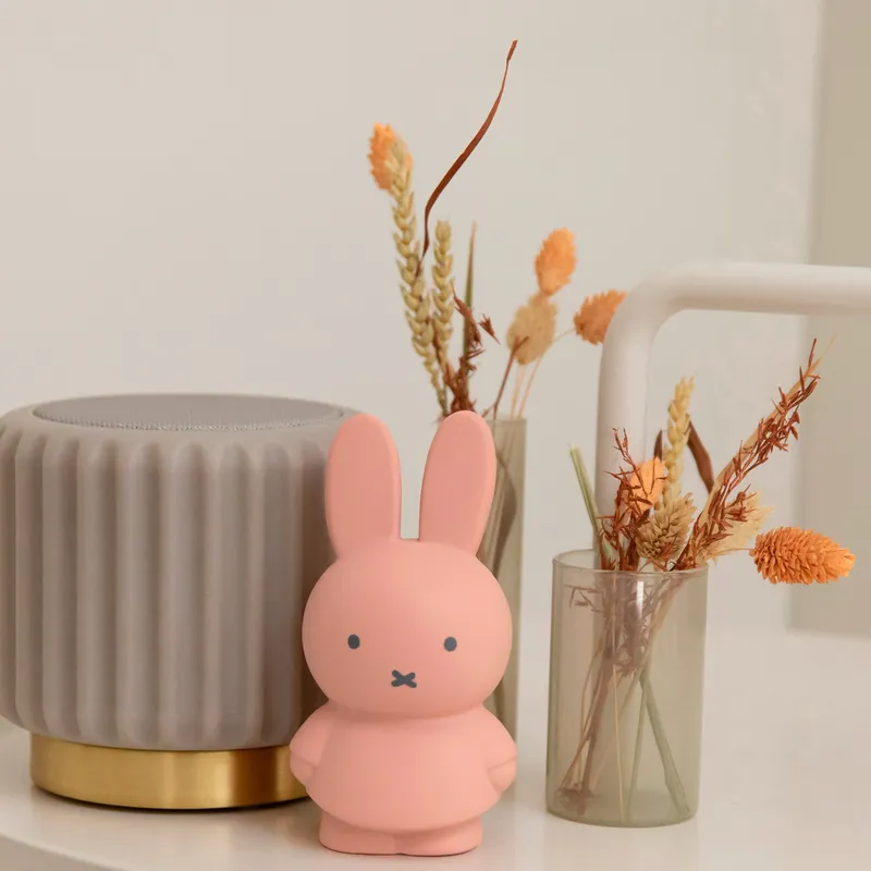 Atelier Pierre Miffy Mini Spardose Powder