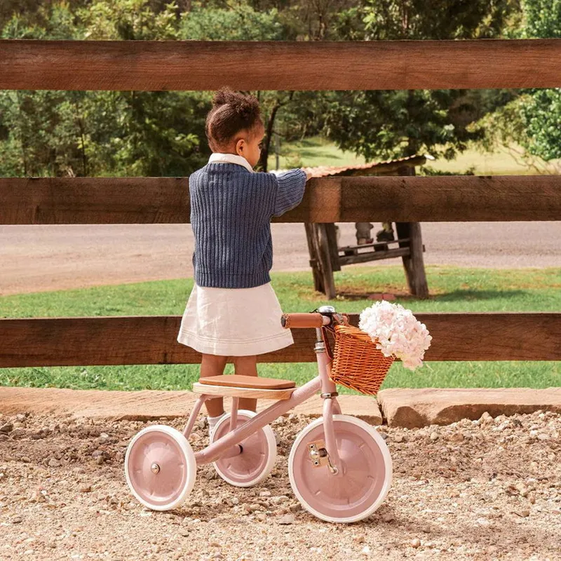 Banwood Dreirad - Dusty Pink