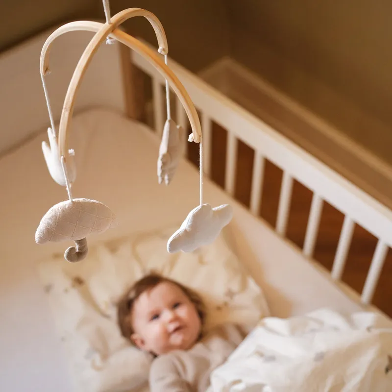 Moonboon Babymobile