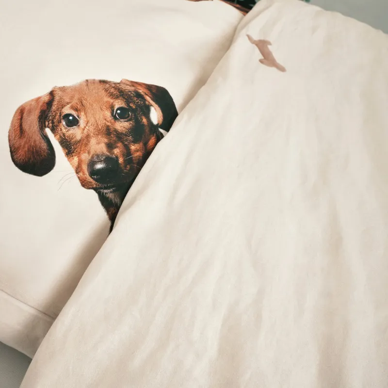 Snurk Dachshund Friends Bettbezug – 140 x 200/220 cm