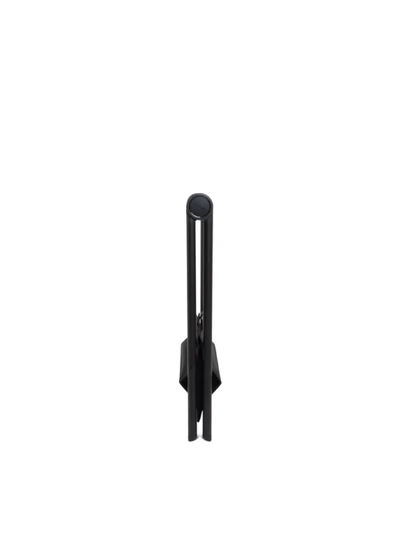 iCandy MiStand