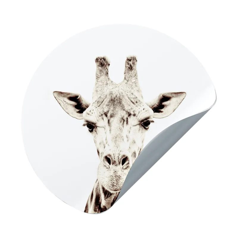 Groovy Magnets Giraffe Magnetaufkleber – Ø60 cm