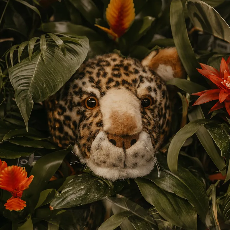 Wild & Soft Leopard Charlie Tierkopf