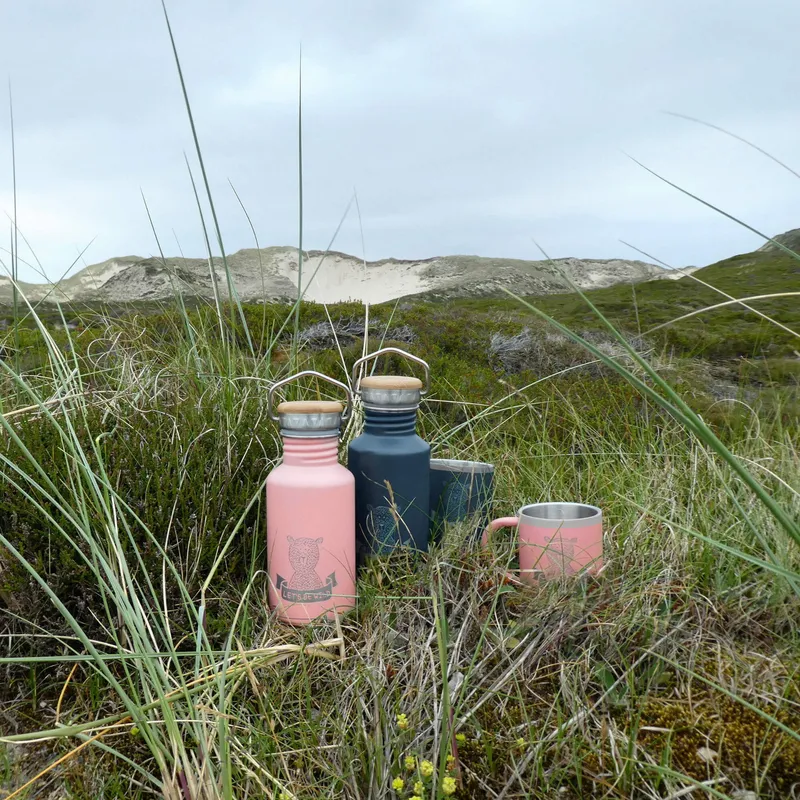 Lässig Adventure Fles Isolierte Edelstahl Rose