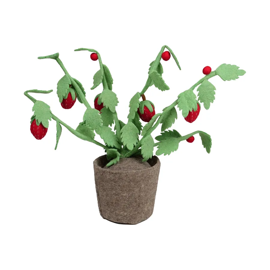 KidsDepot Pflanze - Strawberry - Grün - H 56 cm