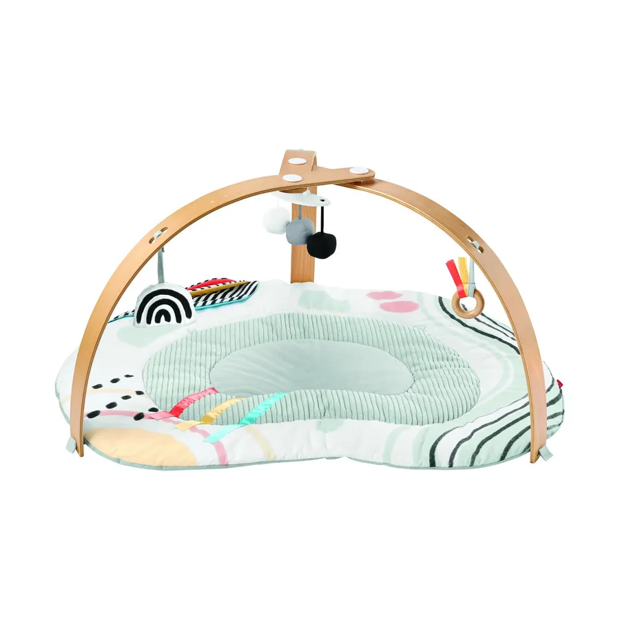 Skip Hop Discoverosity Play Gym NEW