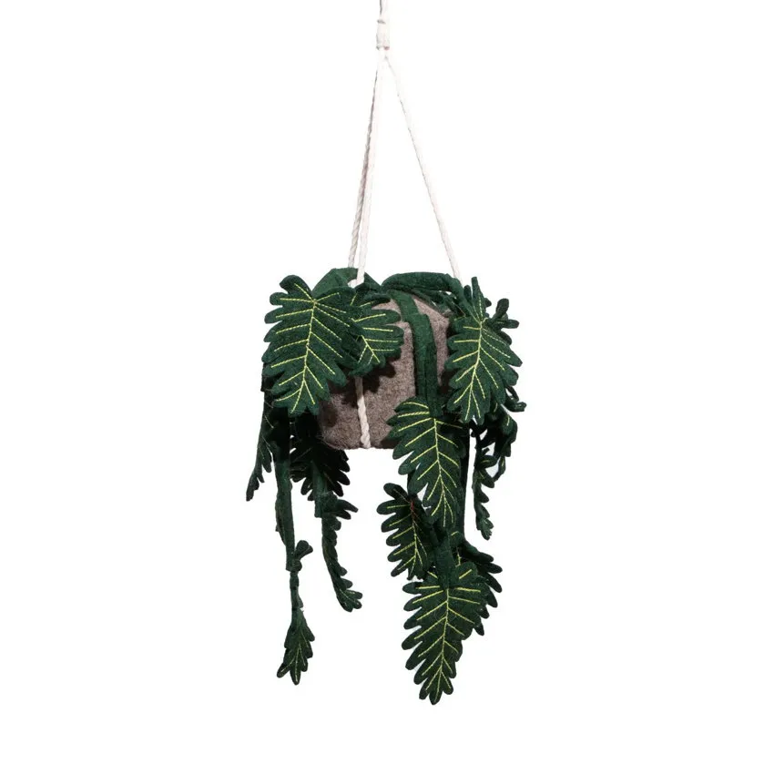 KidsDepot Plant Philo