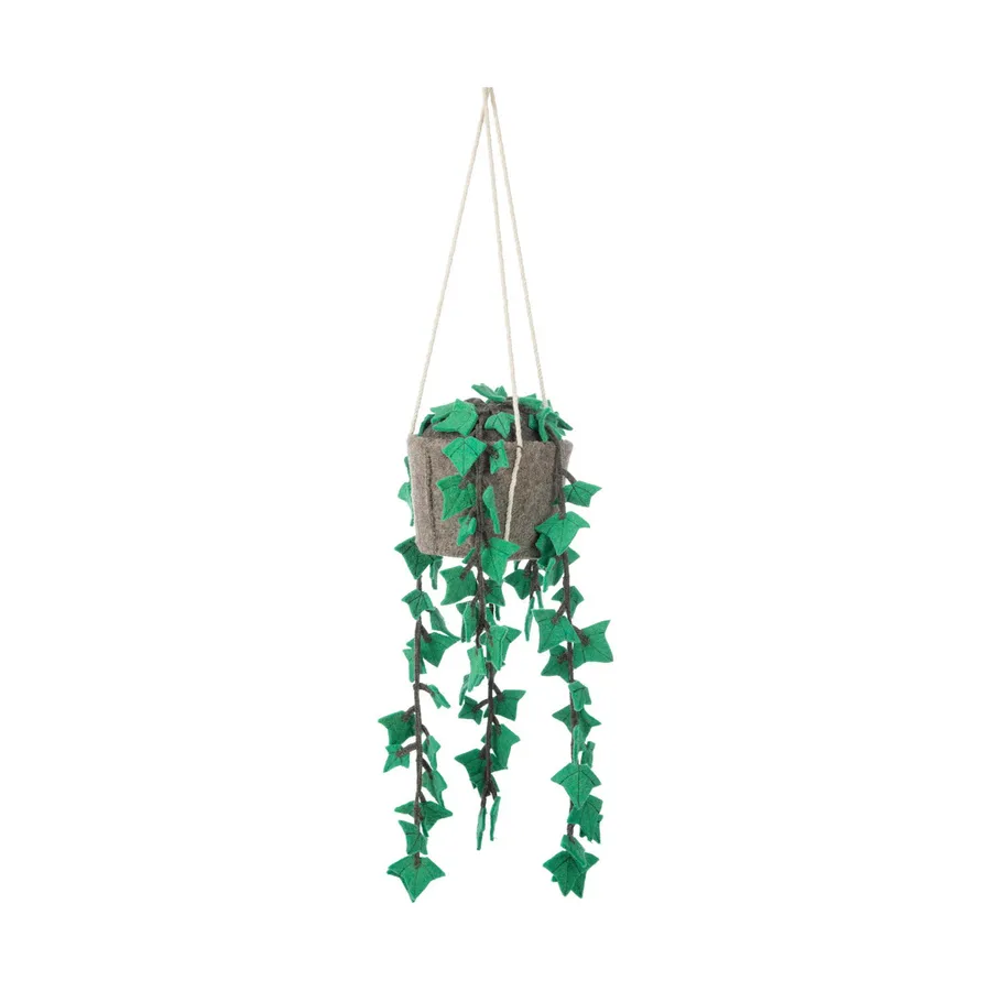KidsDepot Hängepflanze Hedera Felix 