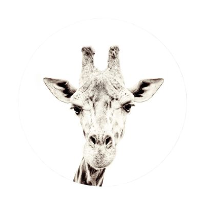 Groovy Magnets Giraffe Magnetaufkleber – Ø60 cm