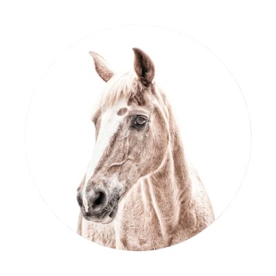 Groovy Magnets Pferd Magnetaufkleber – Ø60 cm