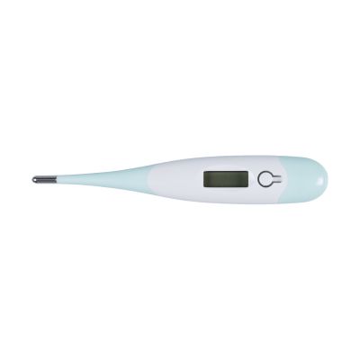 Babypark Digitales Thermometer Mint